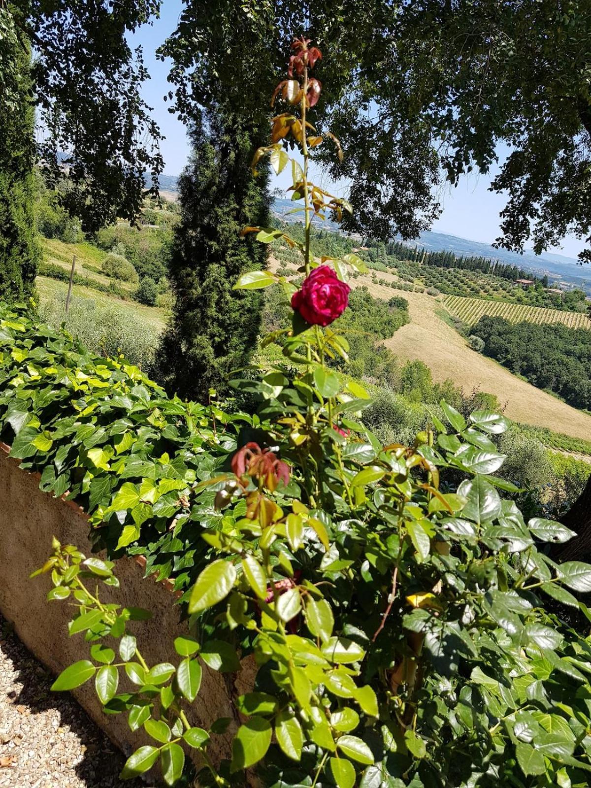 Il Leccio - Casa Toscana San Gimignano Gambassi Terme Exterior photo