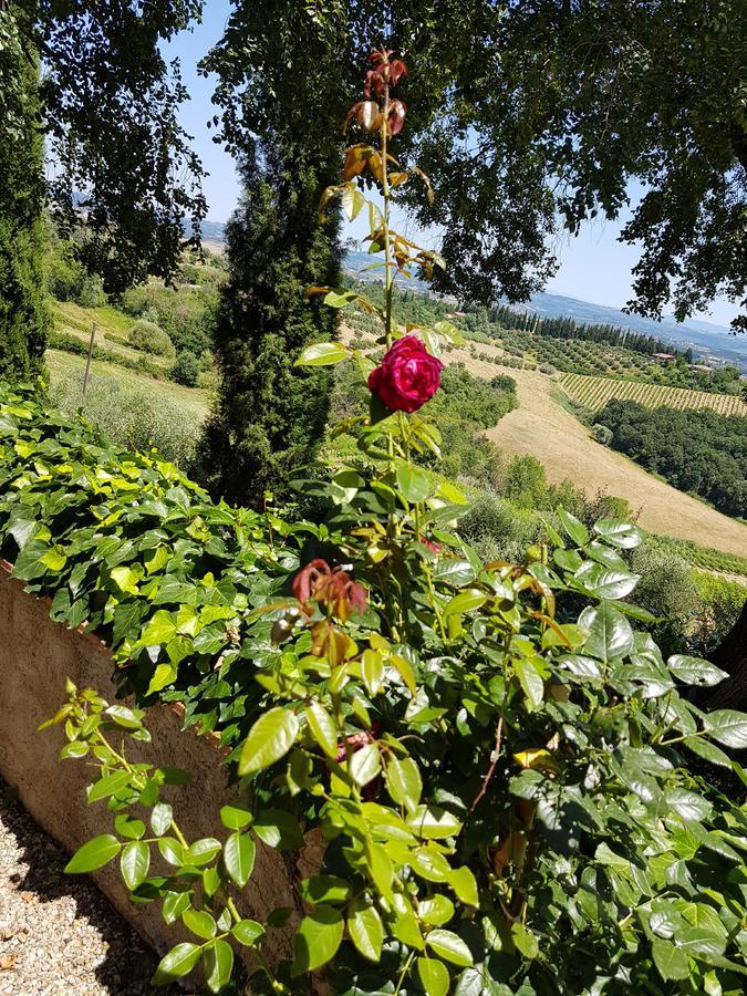 Il Leccio - Casa Toscana San Gimignano Gambassi Terme Exterior photo